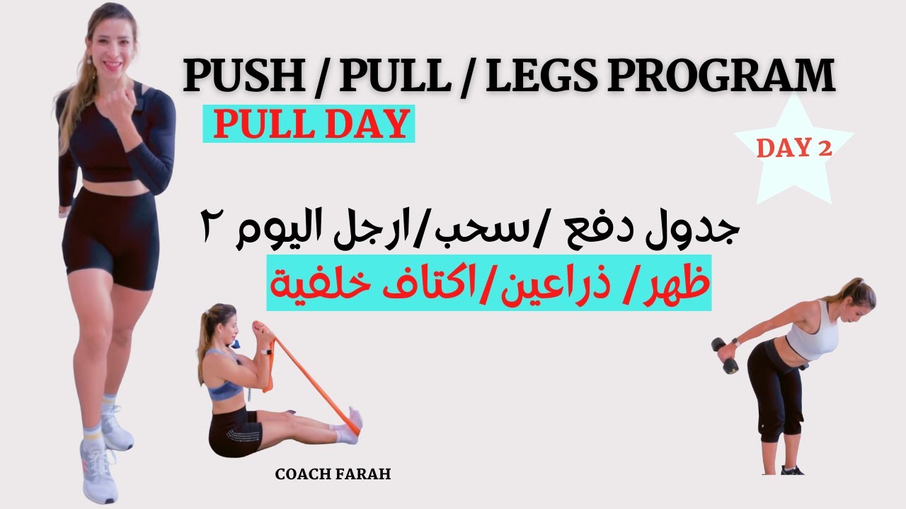 PULL DAY | UPPER BODY HOME WORKOUT | DAY 2 | تمارين مقاومة جزء علوي | عضلات الظهر والذراعين اليوم ٢