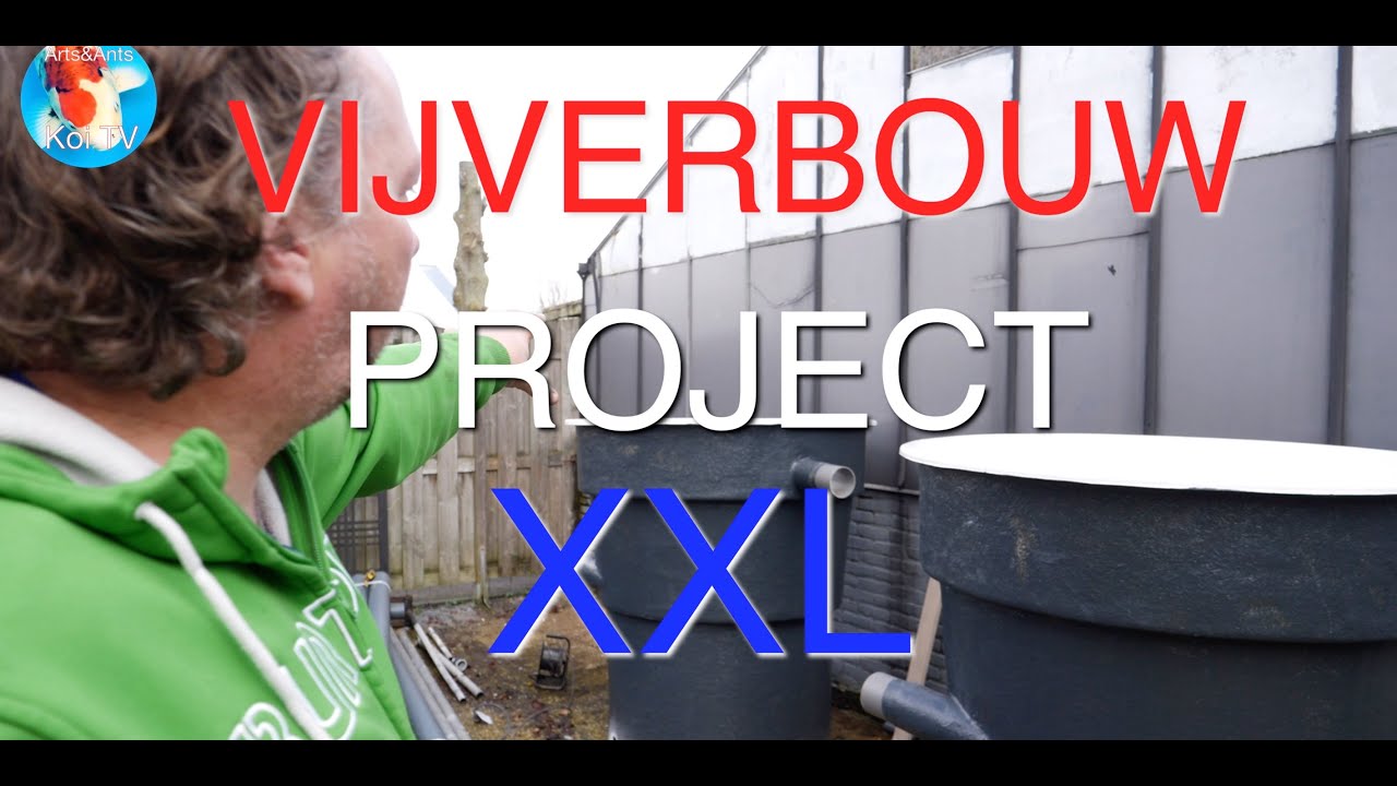 KOI TV | Vijverbouw Arts&Ants PROJECT 
