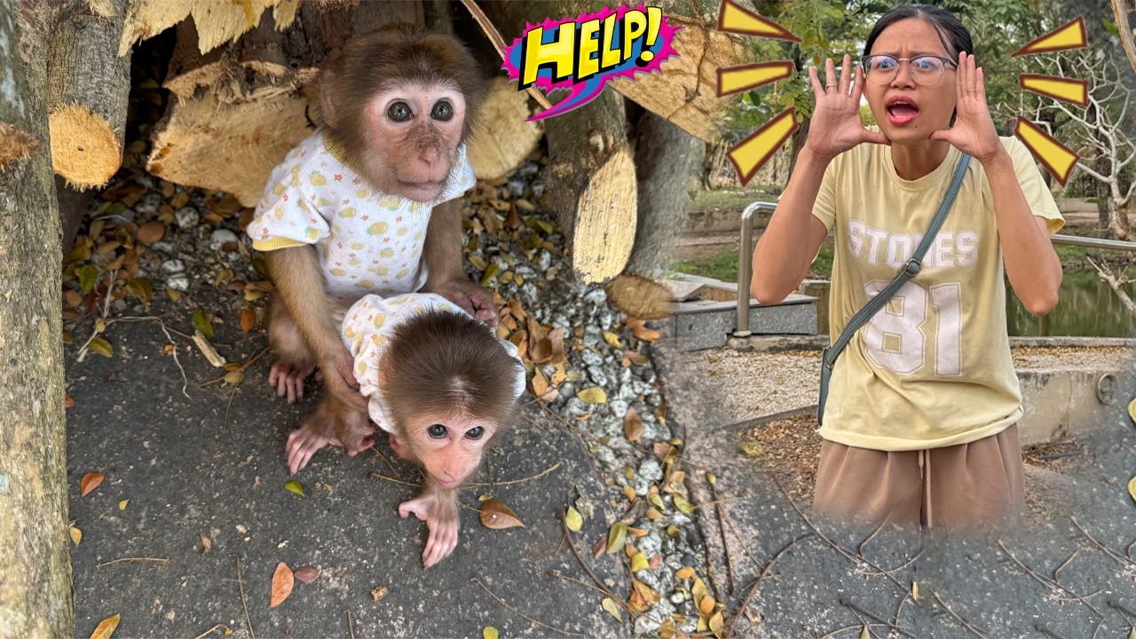 Mom panics when Lucky and Sunny suddenly go missing during their outing!