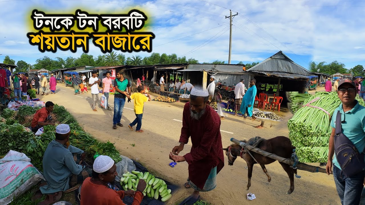 টনকে টন বরবটি সকালের শয়তান বাজারে। Village Market। মেঘাদল বাজার, শ্রীবরবী ২০২৪