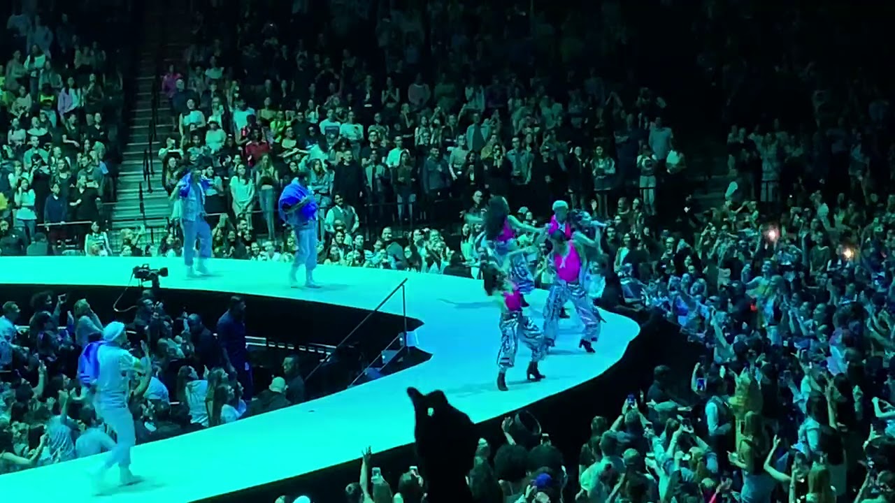 Ariana Grande - bloodline (Sweetener Tour)