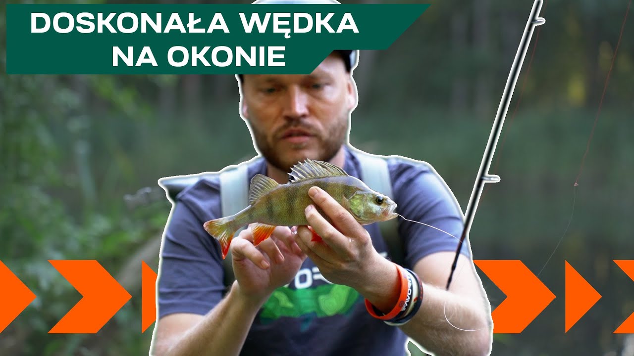 Piękne LEŚNE JEZIORKO i DOSKONAŁA WĘDKA NA OKONIE - Favorite Impulse