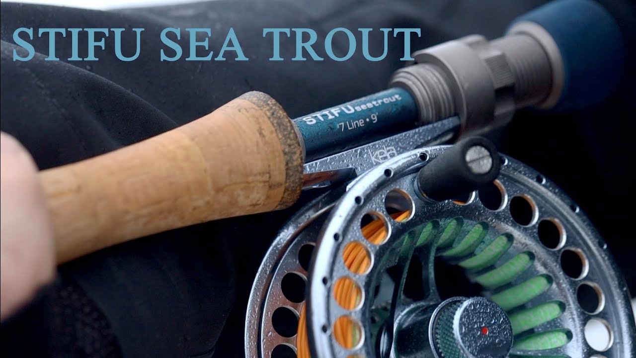 Stifu Seatrout