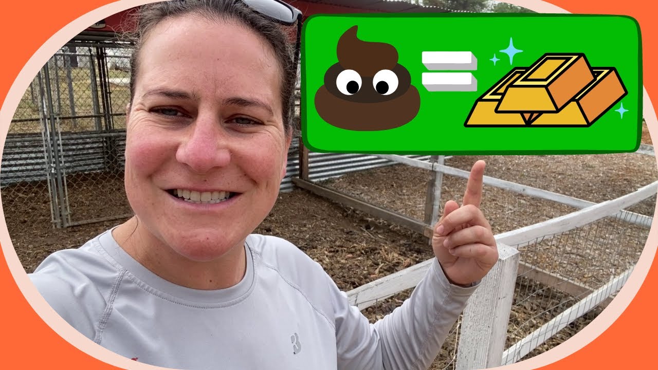 Composting Pig Manure Made Easy: Simple Techniques for Beginners
