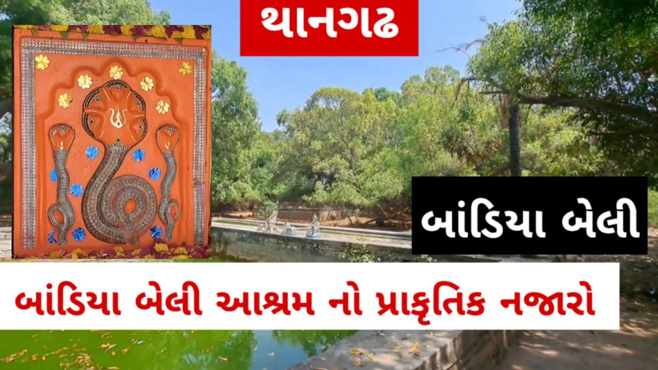 પ્રકૃતિના ખોળે થાનગઢ પાસે બાંડીયા બેલી આશ્રમ - The Ashram in the Mandav forest  ,