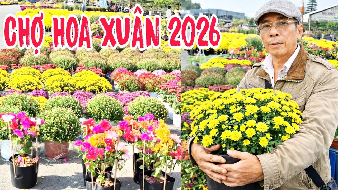 Nhộn nhịp chợ hoa xuân 2026 quá đẹp 