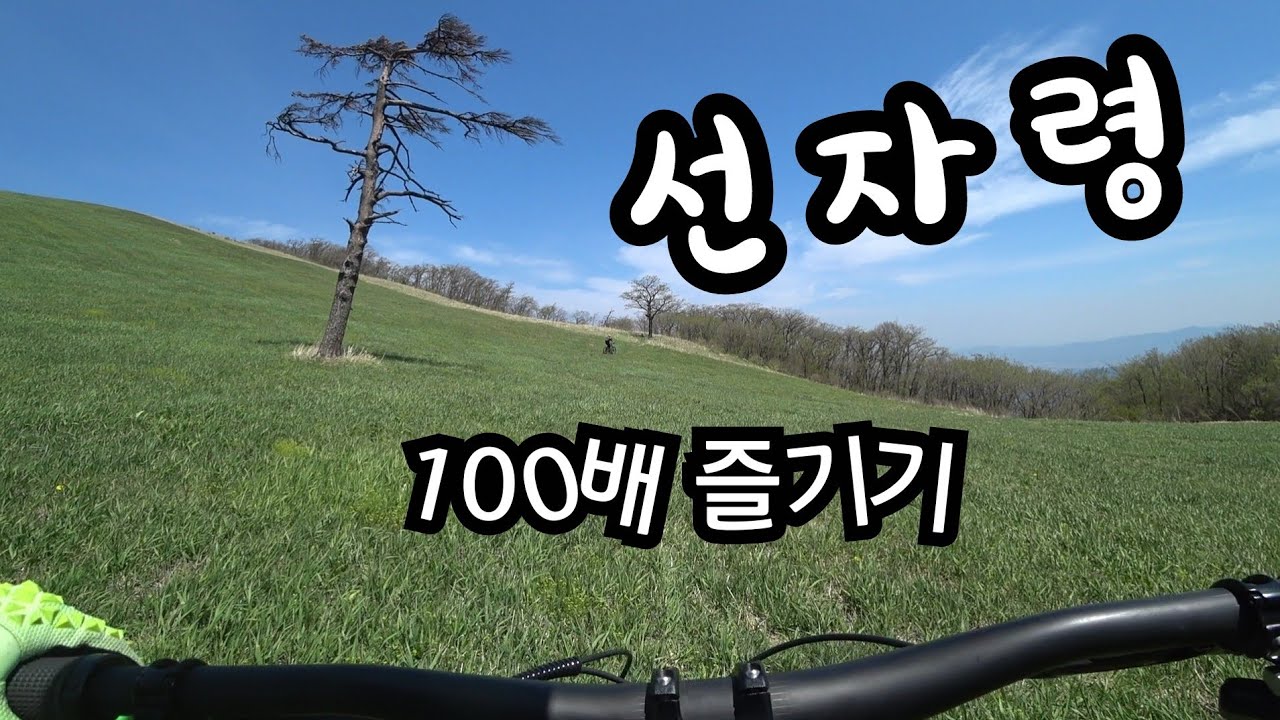배두대간 선자령 100배 즐기기!