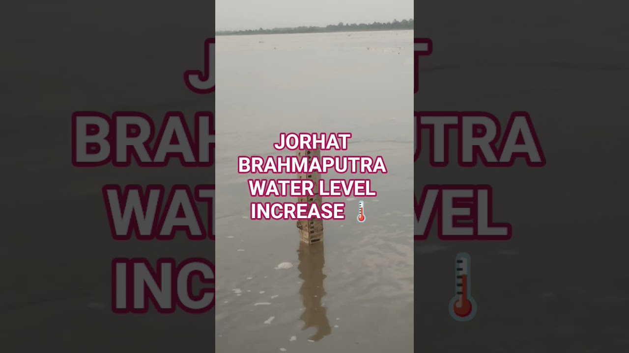 Brahmaputra water level #jorhat #jorhatian#jorhatvlog  #jorhatvlog #jorhatassam #flood  #floodalert