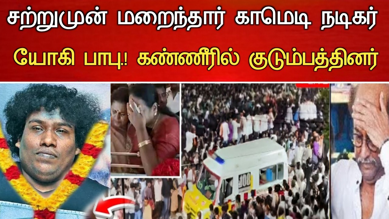 🔴#Live : அதிக மதுவால் முடிவுற்ற காமெடி நடிகர் சகாப்தம்.! Comedy Actor Yogi Babu Hospitalized News