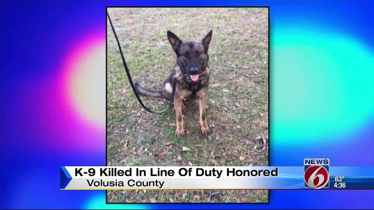 K-9 killed in line of duty honored
