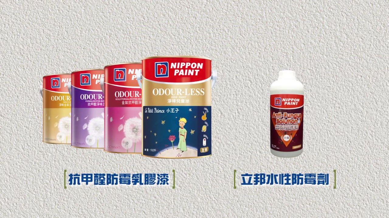 立邦家居PRO方案 - 牆身修護方案