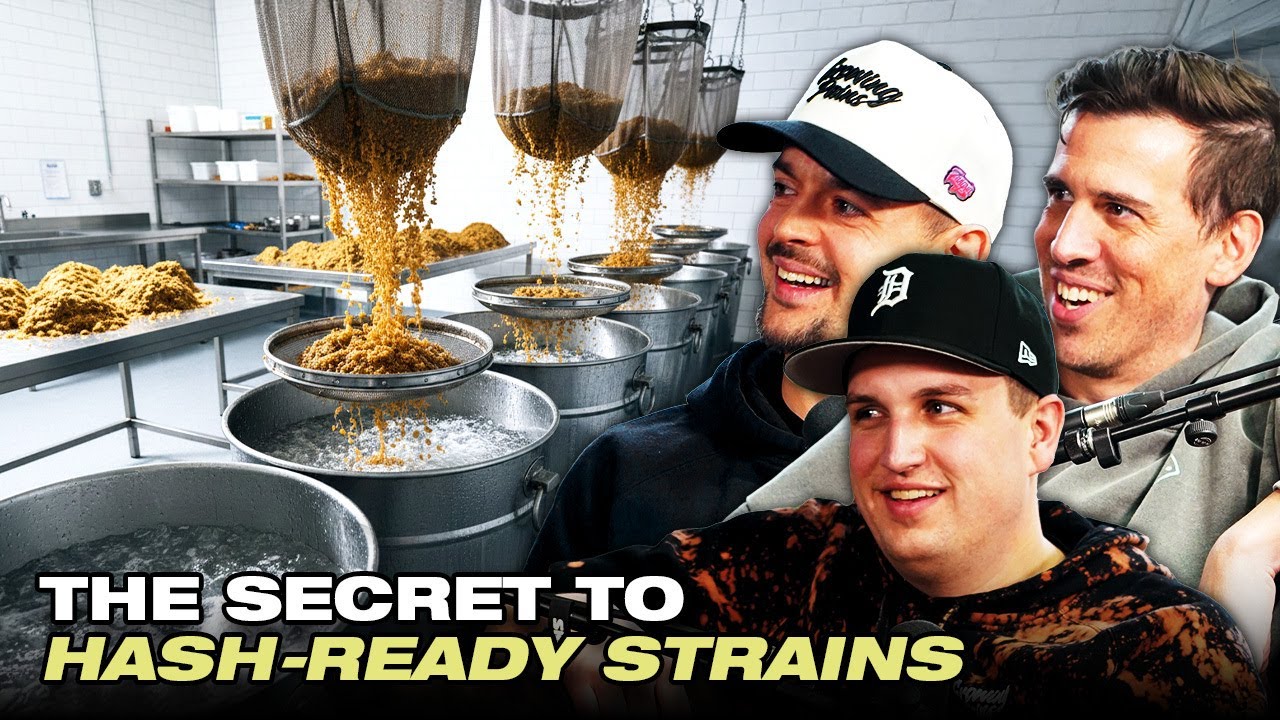 Why Jar Tech Decides Everything in Hash Making