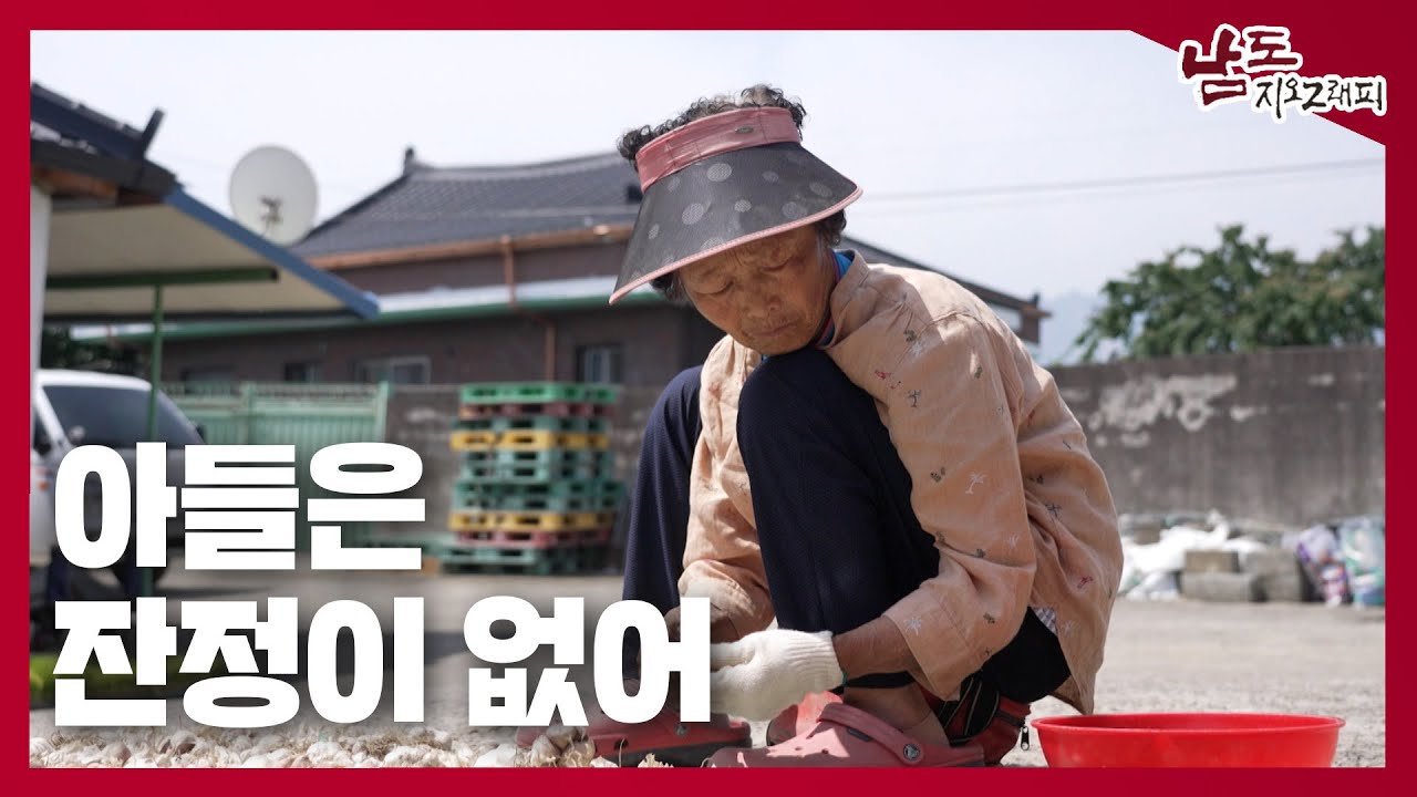 아들은 잔정이 없어  [남도지오그래피｜240626]