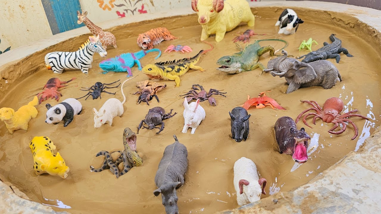 Farmyard Adventure: Animals vs. Insects Team Up for Little Explorers!