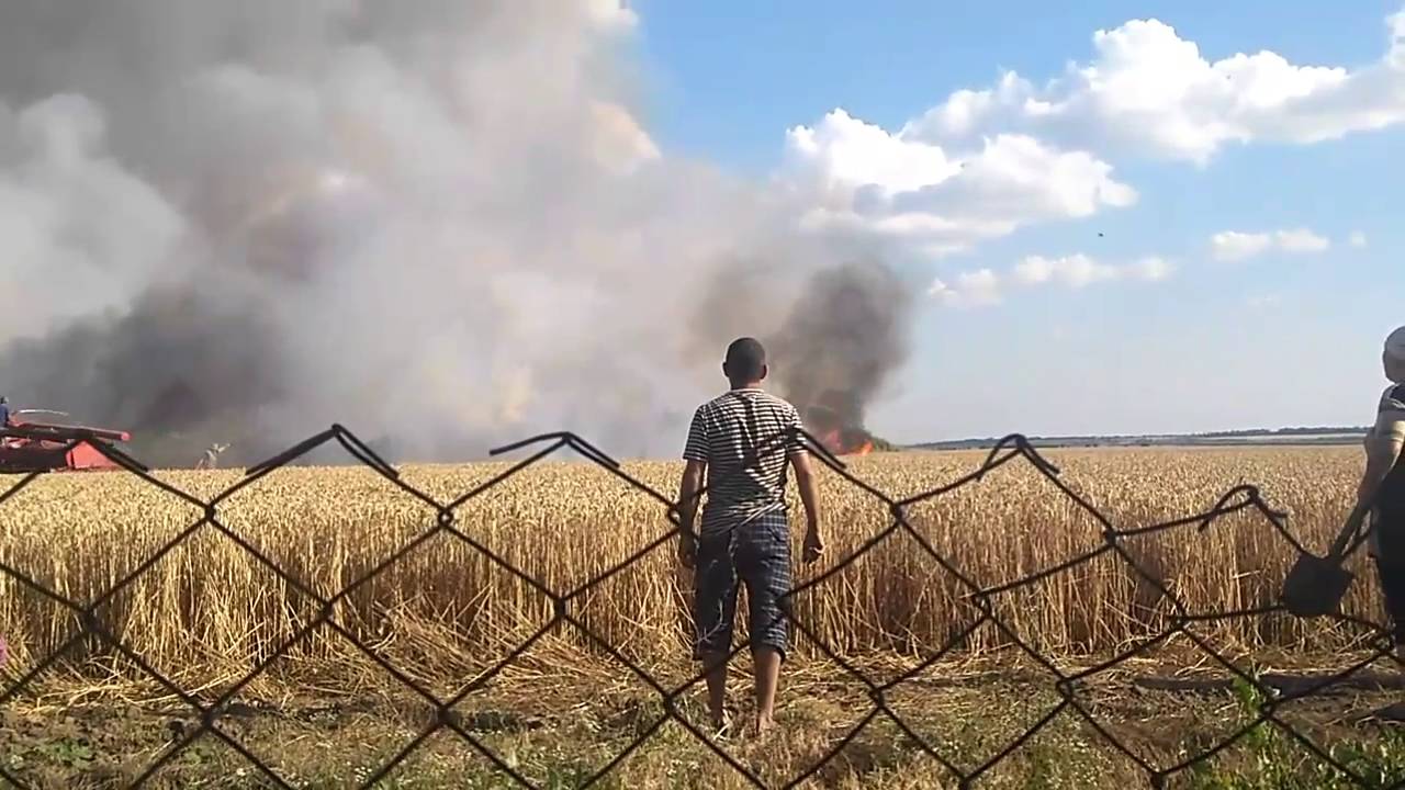 Пожар в Утконосовке