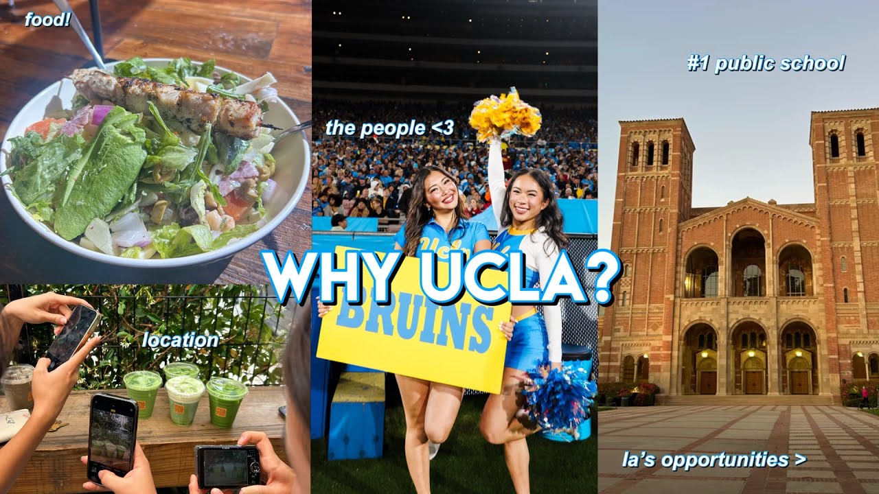 Почему UCLA? | Академическая подготовка, качество жизни, местоположение, карьерные возможности, +...