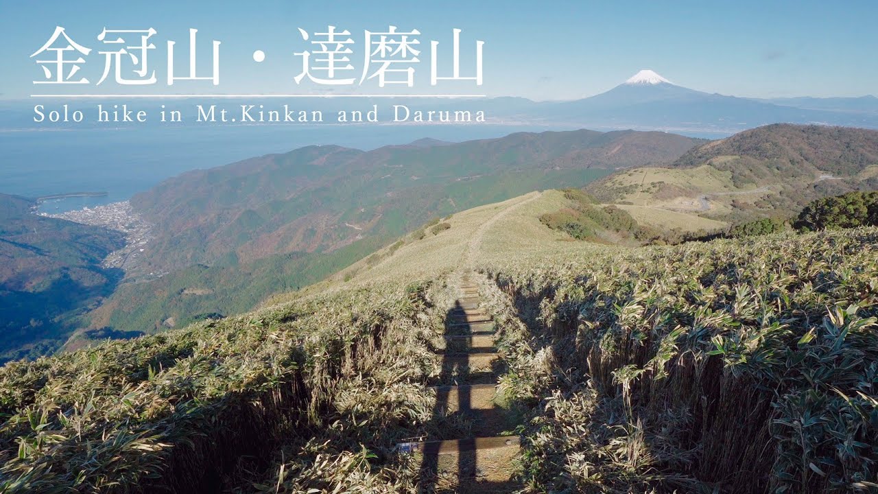 【登山】富士山と駿河湾を望む絶景低山ハイク・金冠山と達磨山