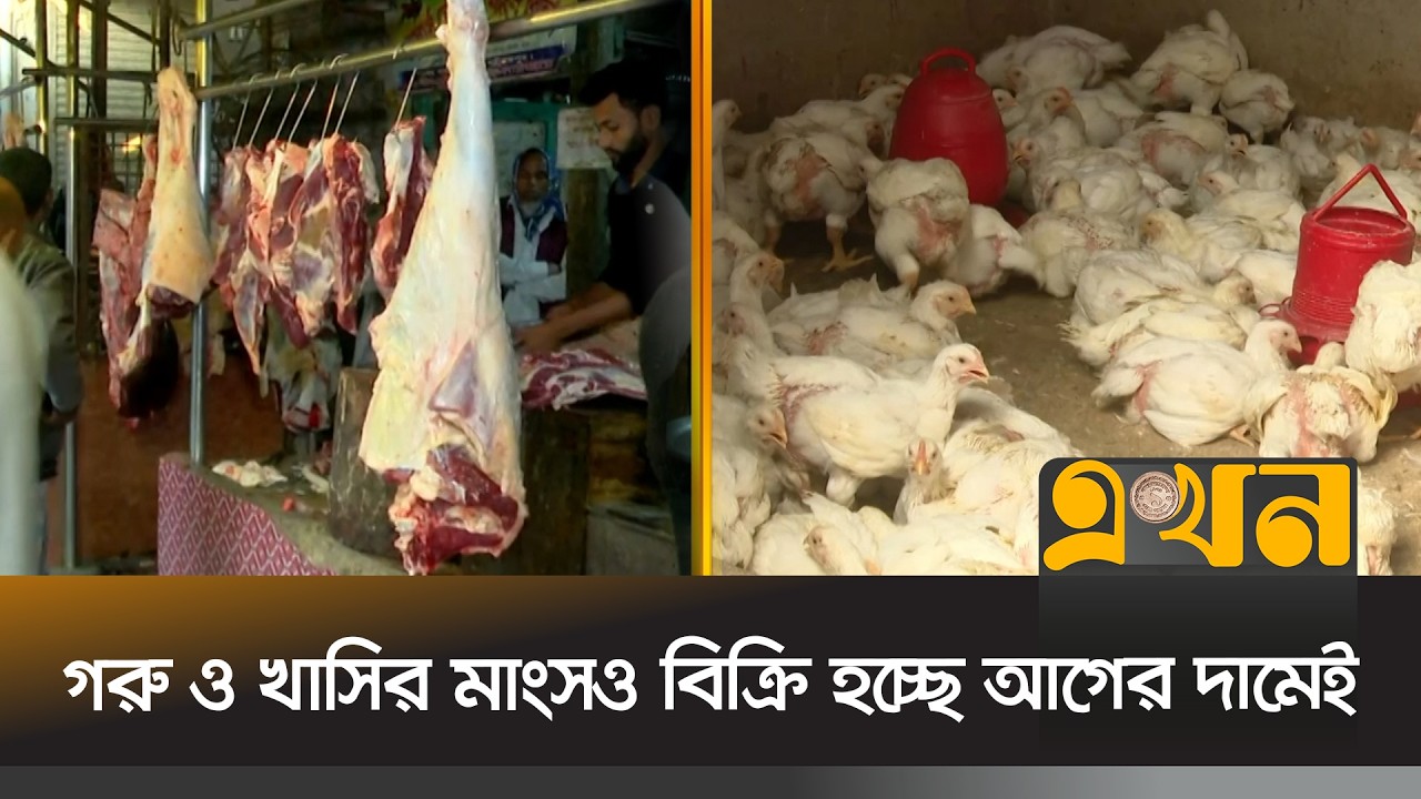 শরীয়তপুরে মুরগির সরবরাহ স্বাভাবিক থাকায় দরদাম ক্রেতার হাতের নাগালে | Shariatpur News | Ekhon TV