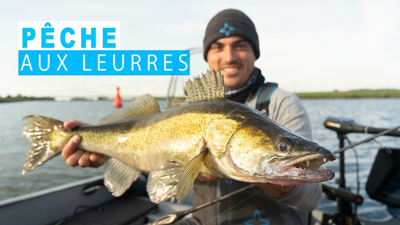 Pêche des carnassiers aux leurres : Découverte des cannes AAVA
