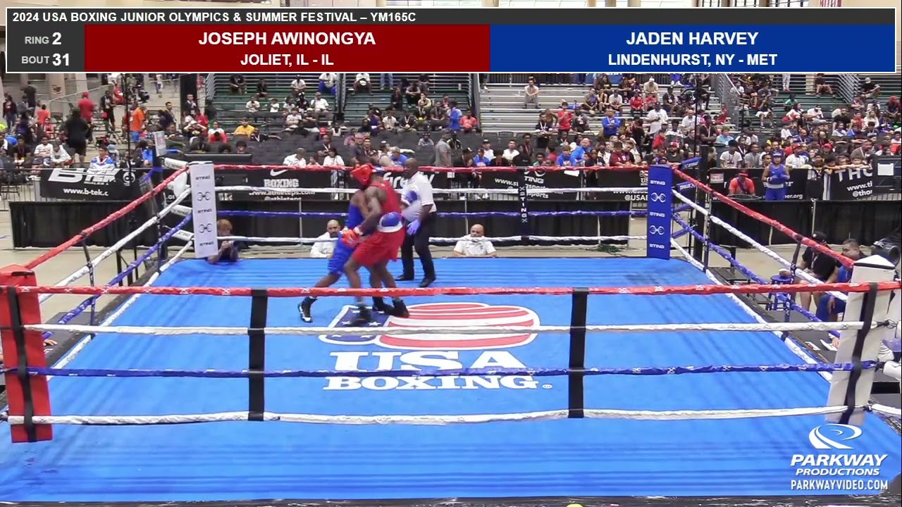 Best Boxer at Jr Olympics Summer Festival