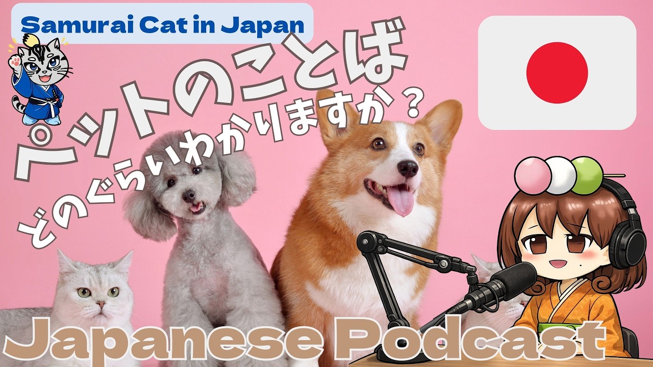 【日本語中級】ペット、犬🐶と猫🐱についてのことば、会話を聞いてどのぐらい理解できますか｜Talking About Pet, Dogs and Cats #japanesepodcast