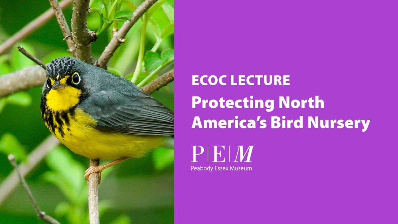 Protecting North America's Bird Nursery - ECOC September 2025