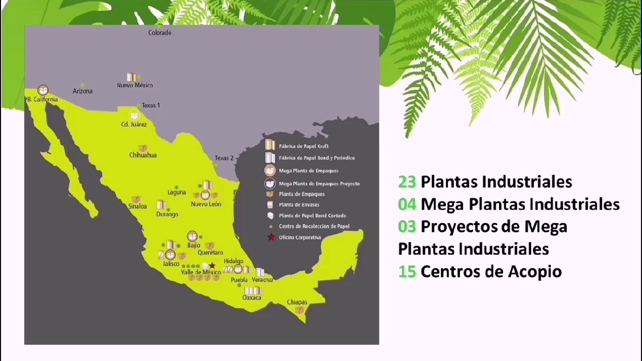 BIO PAPPEL Análisis Cualitativo y Cuantitativo