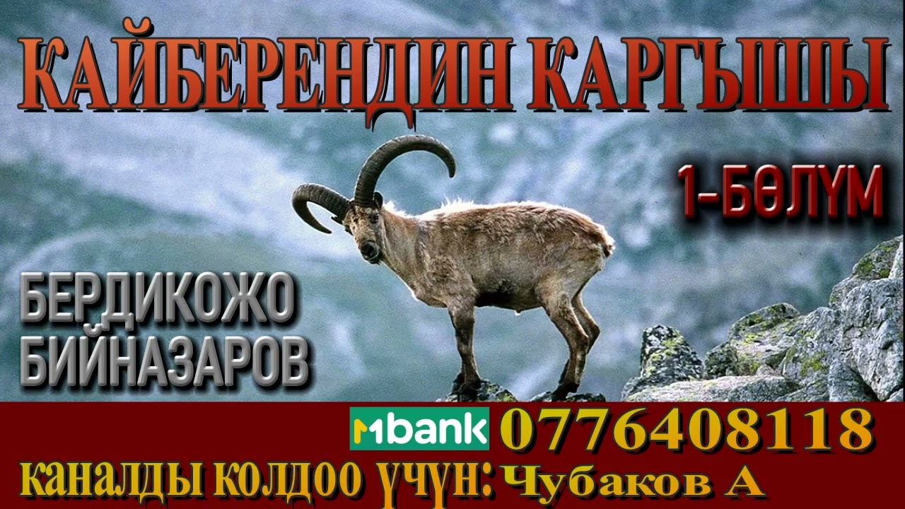 КАЙБЕРЕНДИН КАРГЫШЫ \ 1-БӨЛҮМ \ БЕРДИКОЖО БИЙНАЗАРОВ