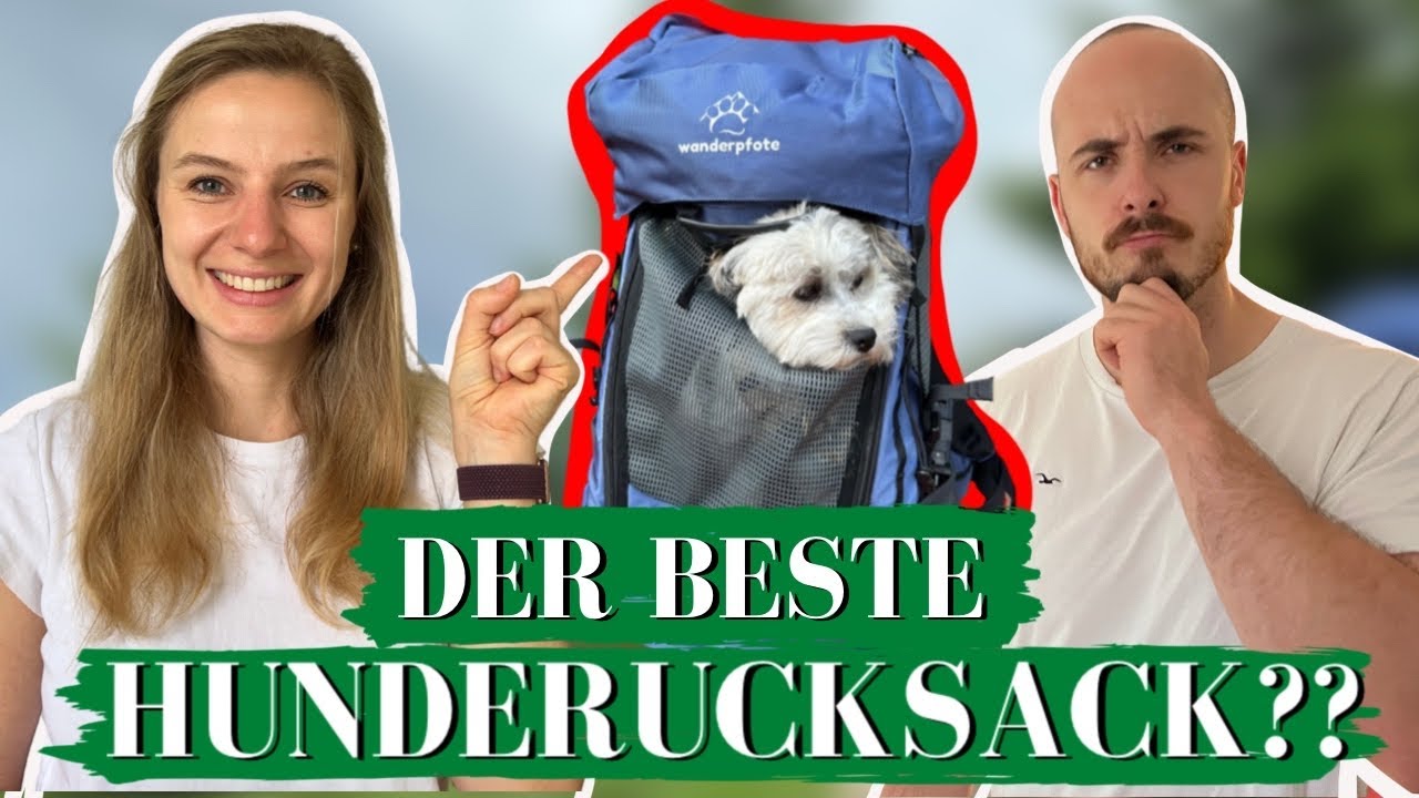 BESTER HUNDERUCKSACK? I Trekking Hunderucksack Wanderpfote I Hunderucksack-Härtetest