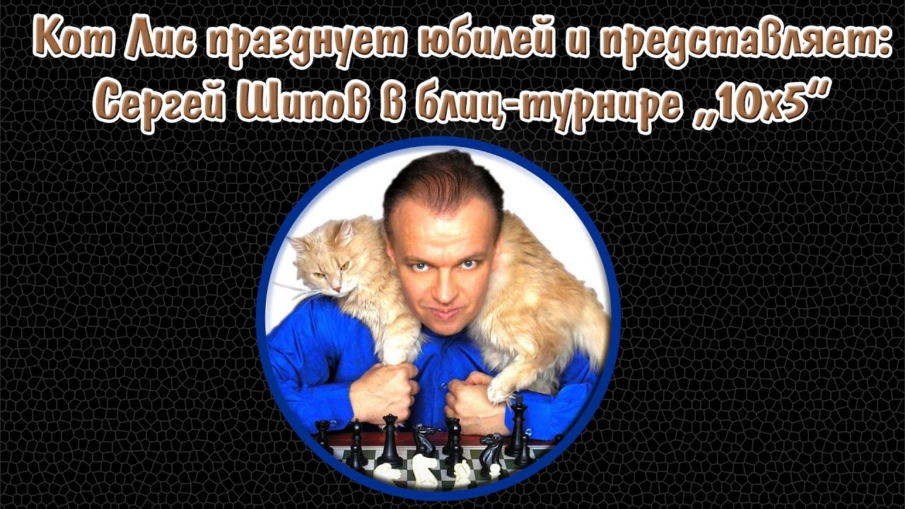 🐱 Кот и шахматы. Сергей Шипов играет в блиц! 10.12.2016