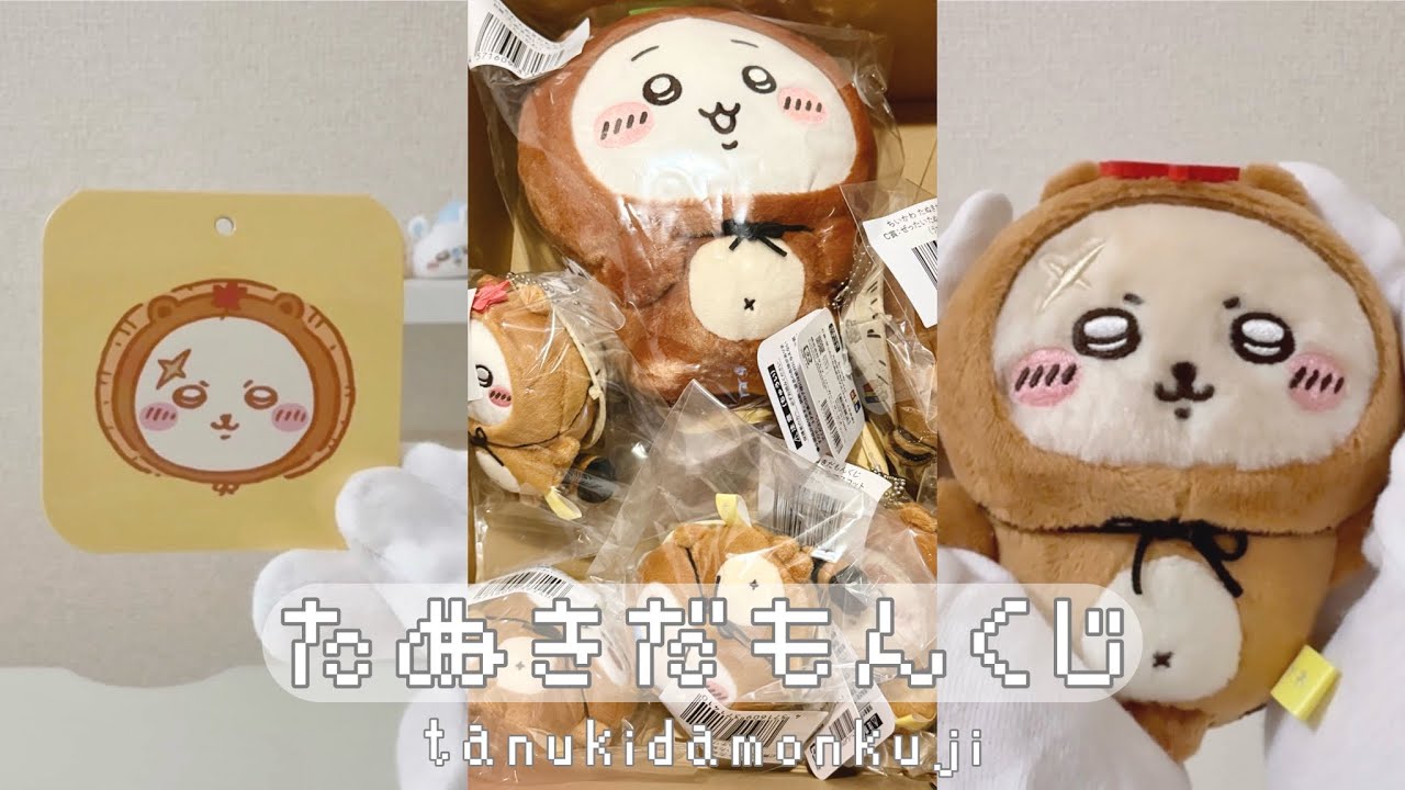 ちいかわ┊ 🍃たぬきだもんくじ🍁 ┊くじの結果とたぬきたちをご紹介🩶
