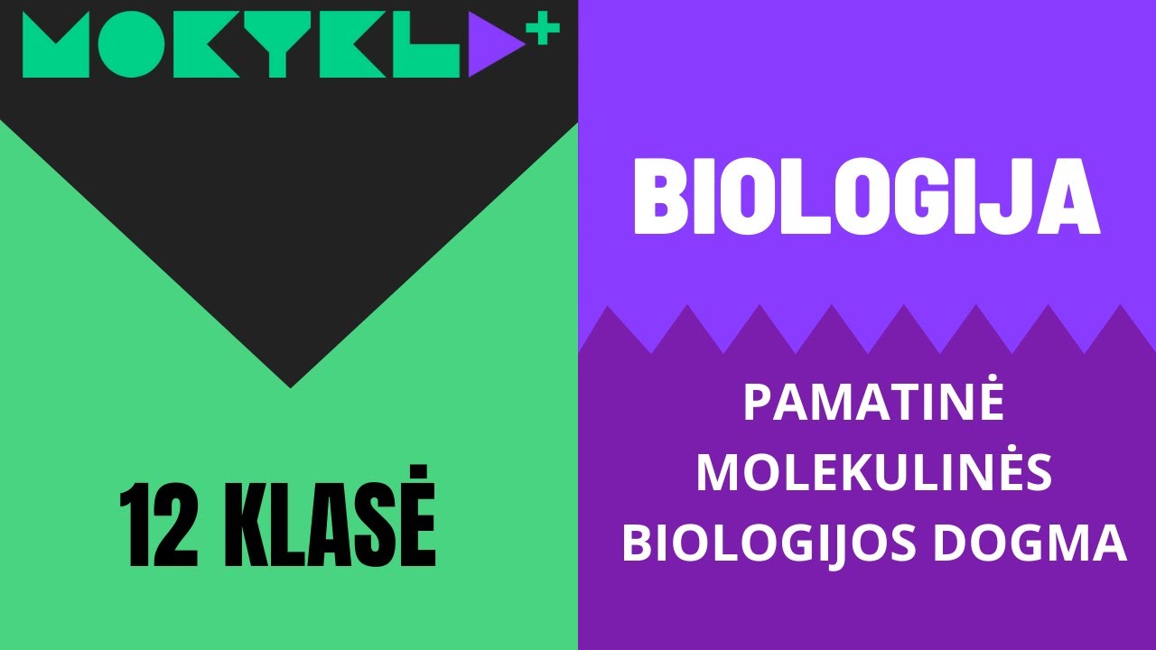 Mokykla+ | Biologija | 12 klasė | Pamatinė dogma || Laisvės TV X