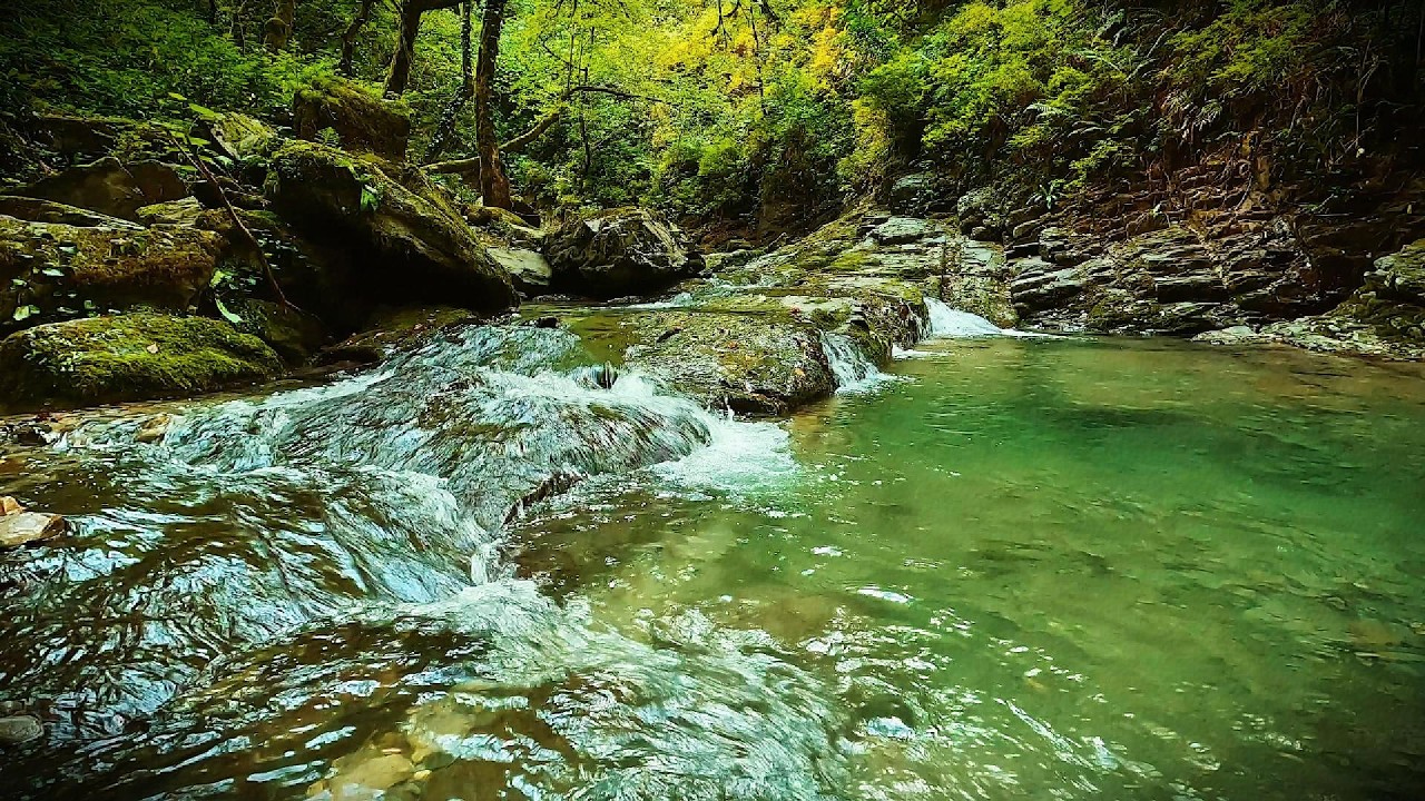 Basta Ouvir Este Som Para Sentir a Mente Desacelerar