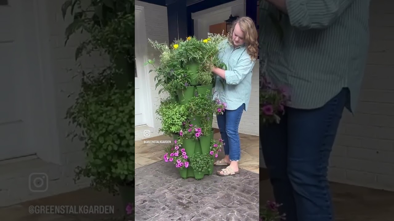 Plant in 30 seconds  #greenstalkgarden #garden #quickgarden #growyourownfood