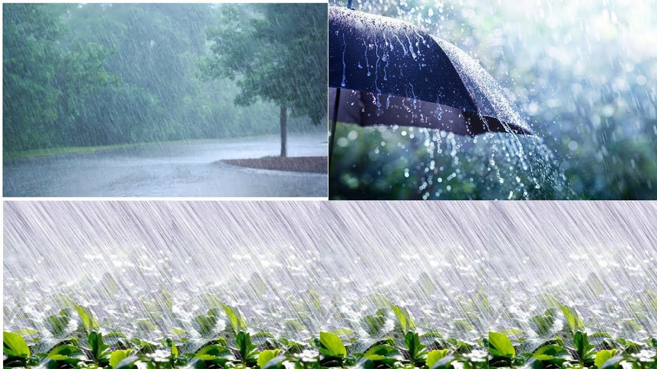 Monsoon Rain Music|Monsoon Music|Rain Drops Music|Study Time Music|Navadeep Relaxation Music|