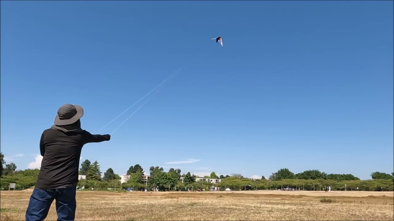 NEW OBJECT SPORT KITE JL.