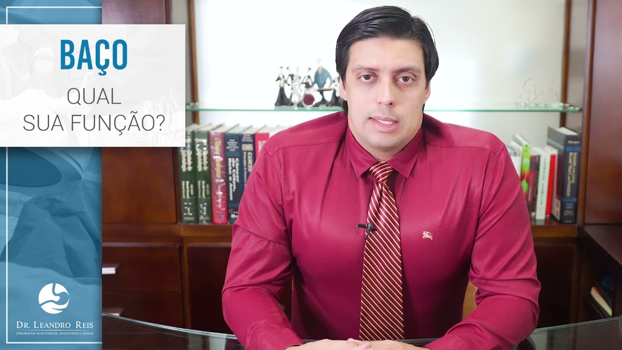 QUAL É A FUNÇÃO DO BAÇO?!