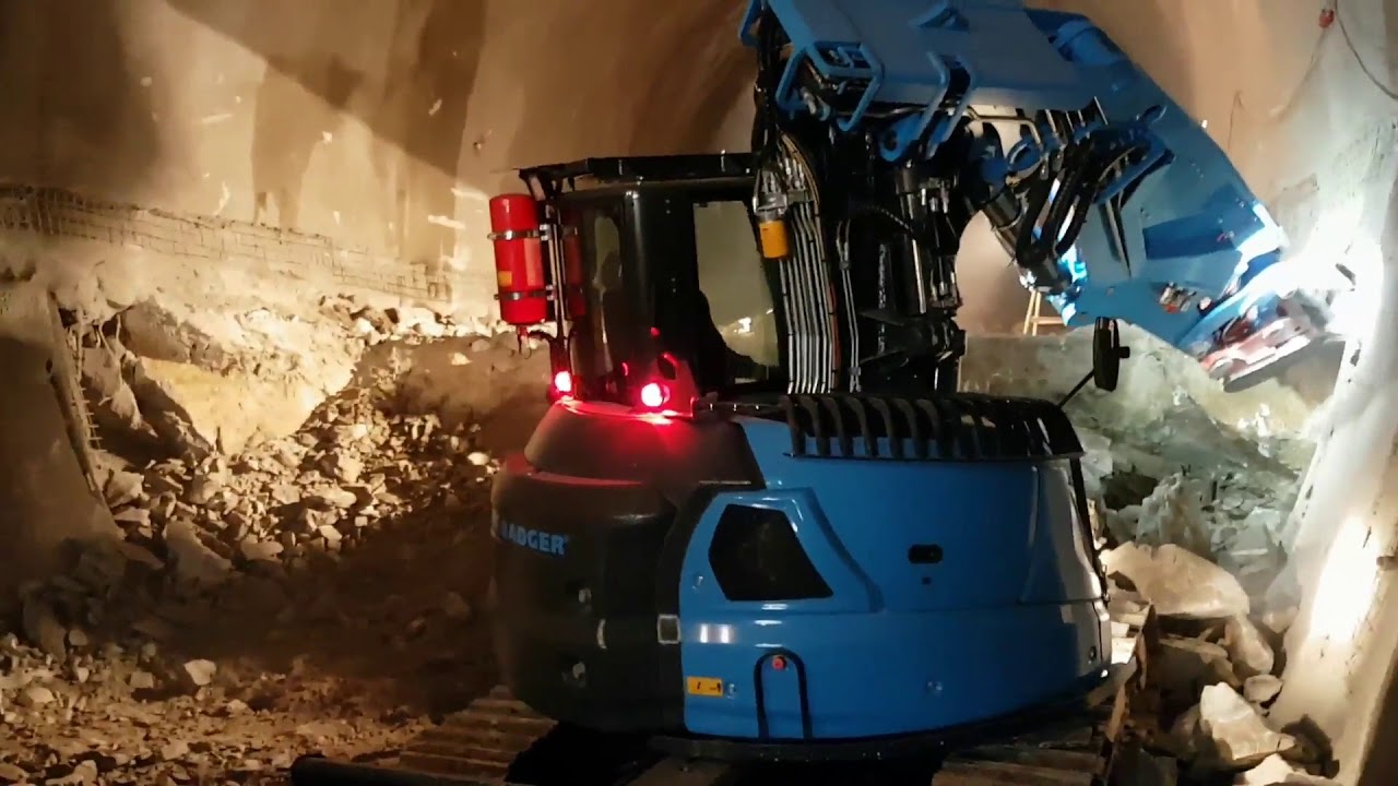 Blue Badger Bagger Wimmer