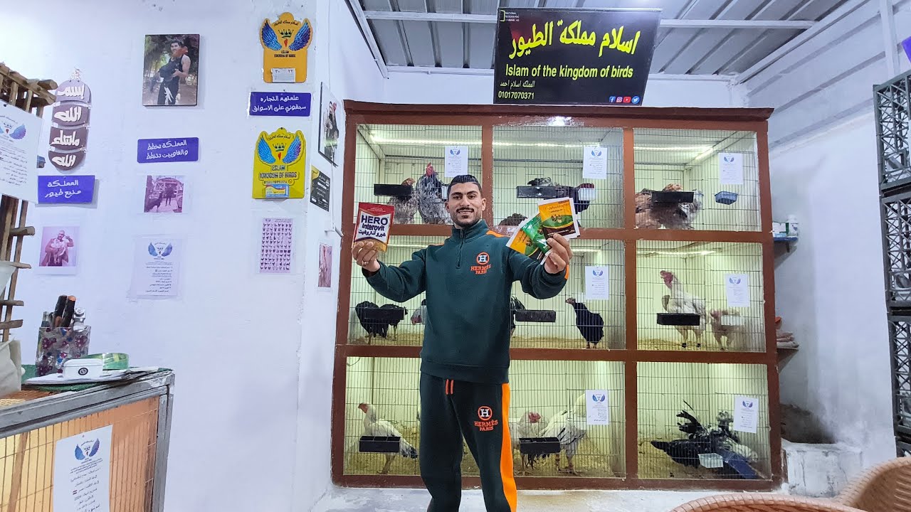 افضل فيتامينات واملاح معدنيه ومضاد حيوي للفراخ 💯🐓🎉