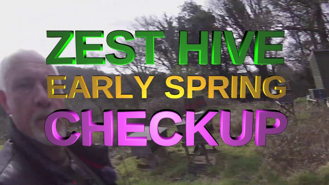 ZEST hive spring checkup