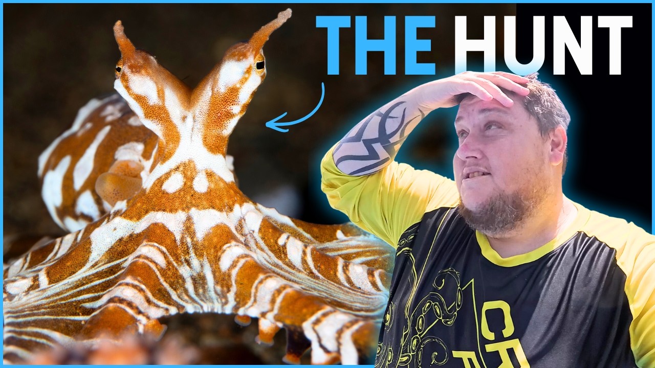 Охота на редкие виды животных на Филиппинах.