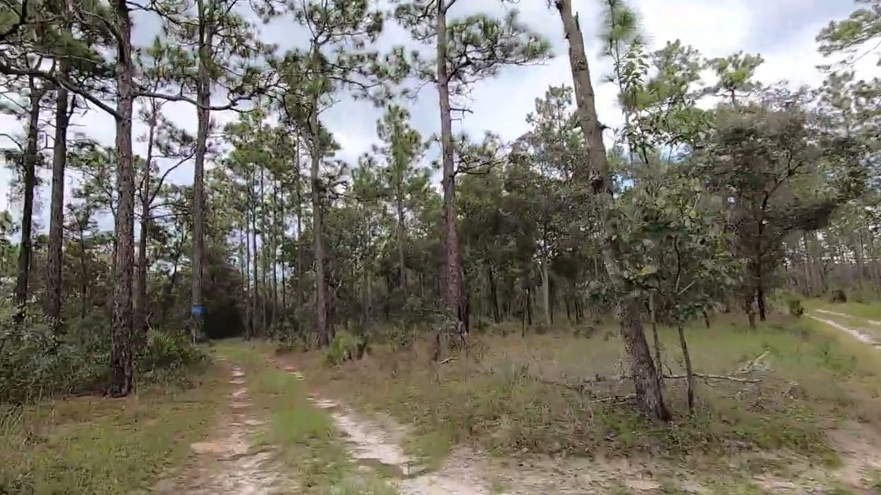 2022 09 MANNFIELD CEMETERY DIRECTIONS CITRUS WMA Withlacoochee STATE FOREST FLORIDA