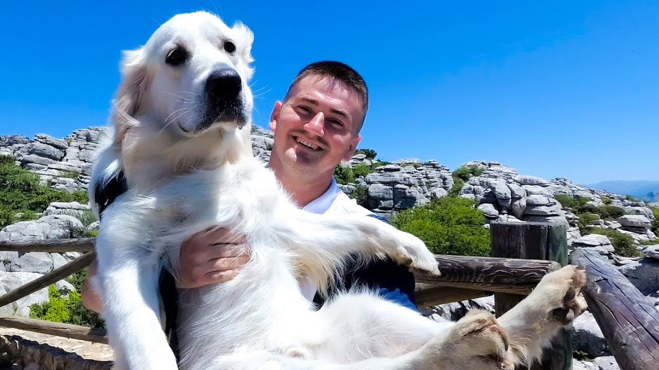 My Funny Dog Went on a Trip to Torcal de Antequera, Andalucia, Spain
