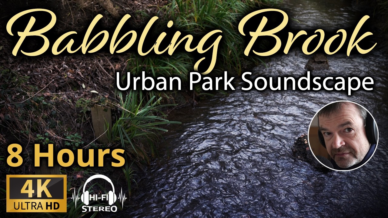 8 Hours of Babbling Brook to Help You Unwind (no music) | Nature Sounds to Focus and Relax