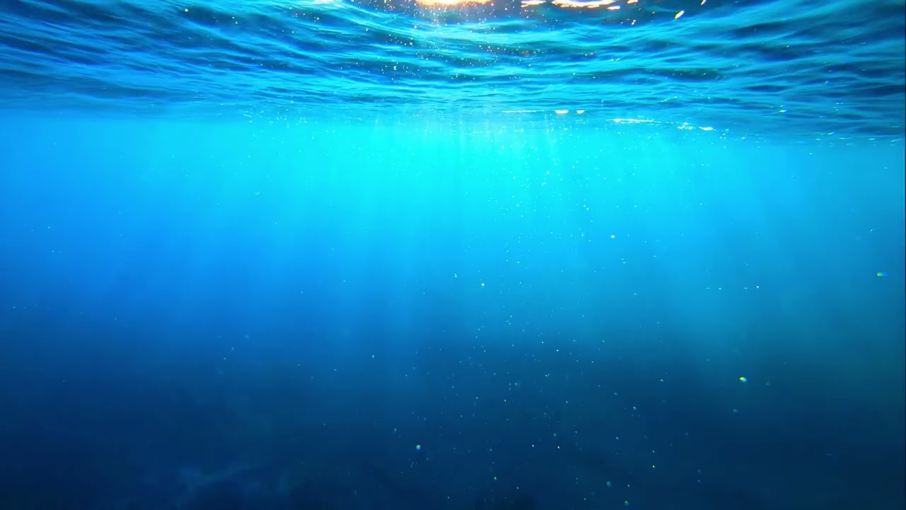 Gregory Ocean - tide line | Peaceful Ambient Music