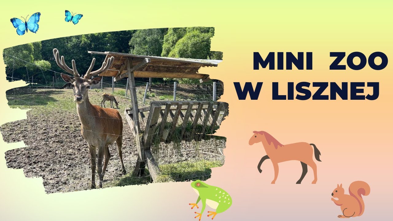 🇵🇱 LEŚNY ZWIERZYNIEC W LISZNEJ / MINI ZOO KOŁO CISNEJ