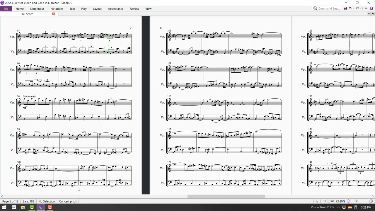 2955 Duet for Violin and Cello in D minor