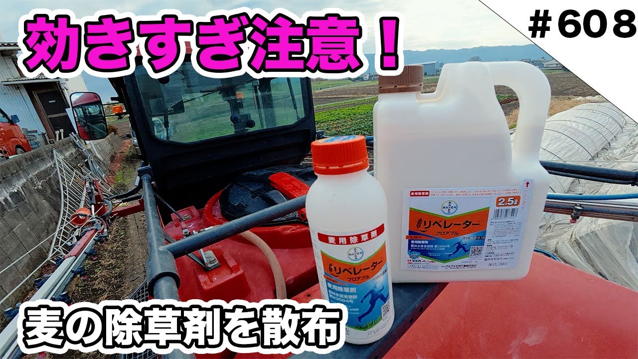 効きすぎ注意！　麦の除草剤を散布しました！