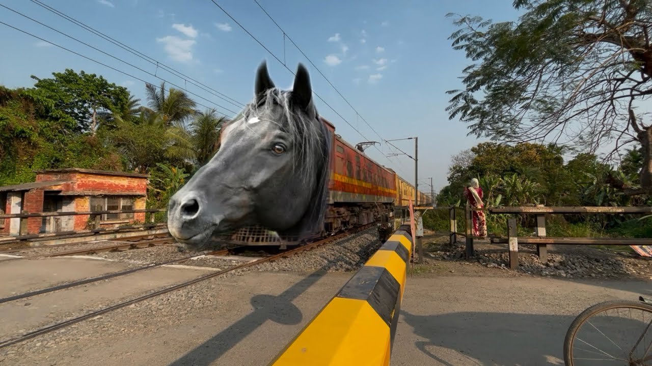 Dangerous Horse Headed Teesta Torsa Express Furious Crossing Throughout at Railgate 