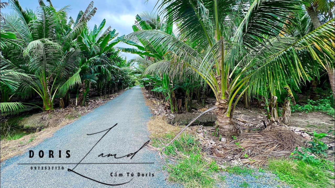 ❌Đã Bán❌GẦN 4CÔNG CÓ DỪA,300M² THỔ CƯ-CHỈ 1,5Tỏi!Mặt tiền nhựa–Hậu giáp sông Đại Sư–Điện nước đầy đủ